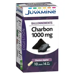 Juvamine Ballonnements Charbon 1000mg 40 comprimés