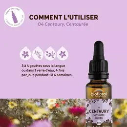 Biofloral Fleur De Bach 04 Centaury Centaurée Compte Gouttes Bio Demeter 20 ml