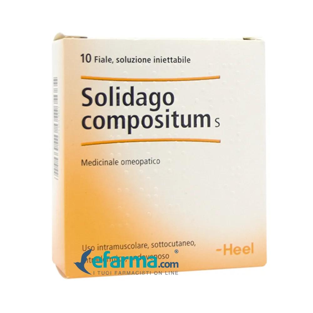 Guna-Heel Solidago Compositum S Medicinale Omeopatico 10 Fiale