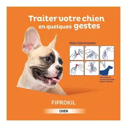 Clement Thekan Fiprokil Anti-Puces Anti-Tiques Chien 20-40kg 4 pipettes