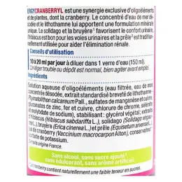 Nutergia Ergycranberryl 250ml