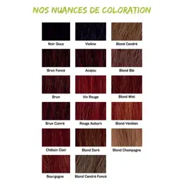 Radico Coloration Végétale Bio Noir Doux 100g