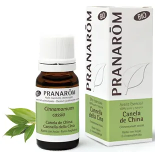 Cinnamon essential oil of China BIO Pranarôm ml