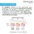 Granions Collagène Beauté+ -  Collagène marin de type I hydrolysé - 8 Shots