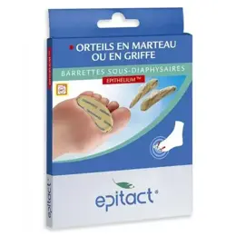 Epitact Barrettes Sous Diaphysaires Epithelium Homme 