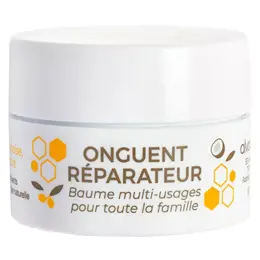 Alvadiem Soin du Visage Onguent Réparateur Baume Multi-Usages 10ml