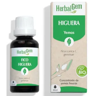 Herbalgem Fig Bio 30 ml
