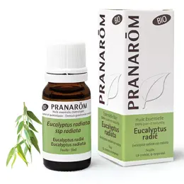 Pranarom Huile Essentielle Bio Eucalyptus Radié 10ml