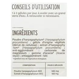 Nutrisanté Les Nutri'Sentiels Bio Harpagophytum 30 gélules