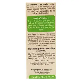 Herbalgem Macérat Concentré Chêne Bio 30ml