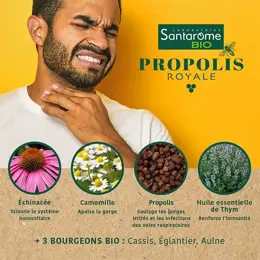 Santarome Bio Gommes Propolis Bio Apaise la gorge 45 g