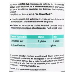 NHCO Carnitine CoA 100 gélules