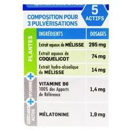 Santé Verte Somniphyt Total Nuit 1,9mg Mélatonine Spray Buccal 20ml