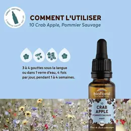 Biofloral Fleur De Bach 10 Crab Apple Pommier Sauvage Compte Gouttes Bio 20 ml