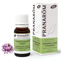 Pranarom Huile Essentielle Bio Géranium Rosat cv Bourbon 10ml