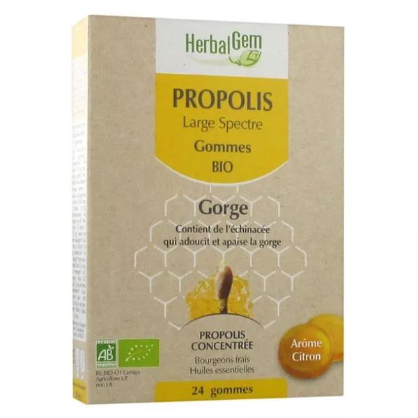 Herbalgem Propolis Large Spectre Gorge Gommes Bio 24 unités