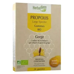 Herbalgem Propolis Large Spectre Gorge Gommes Bio 24 gommes