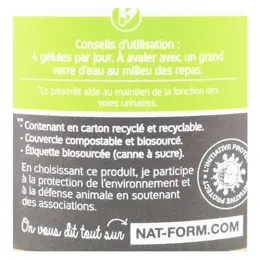 Nat & Form Écoresponsable Pissenlit Bio 200 gélules végétales