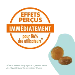 Naturactive VoxylTabs pastilles gorge irritée senssible 24 pastilles sans sucre