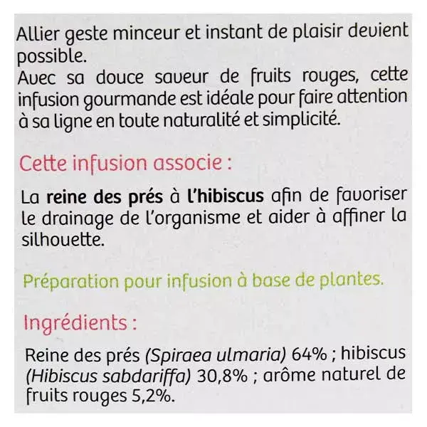 Vitavea BioNutrisanté - Silhouette Infusion - Red Fruit Flavor - 20 sachets
