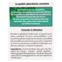 Juvamine Draineur Queue de Cerise Reine des Près 50 gélules