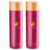 Atashi Skin Defense Tonique Antioxydant Régénérant et Purifiant 2x250 ml