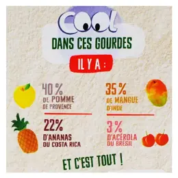 Vitabio Cool Fruits La Pat’ Patrouille Pomme Mangue Ananas Bio 12 x 90g