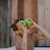 Toofruit Enfant Cheveux Kapidoux Shampoing Dermo Apaisant Pomme Amande Bio 200ml