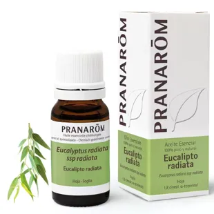 Pranarom Óleo Essencial de Eucalipto Radiata 10 ml