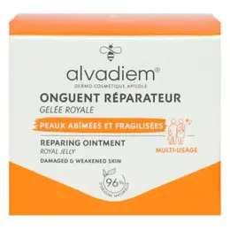 Alvadiem Onguent Réparateur Irritations Gerçures et Fendillements 50ml