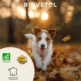 Biovetol  - Comprimés Bien-être Intestinal Chiot / Petit chien Bio - x 10