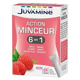 Juvamine Action Minceur 6 Actions Goût Framboise 14 sticks