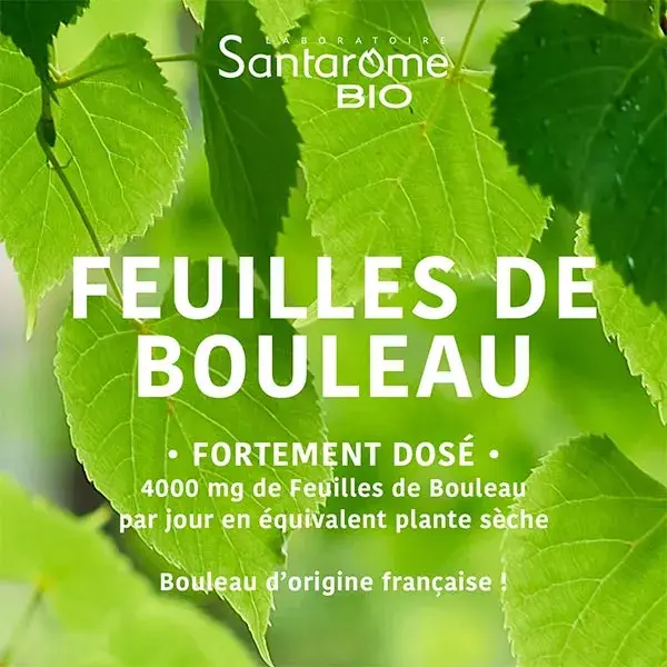 Santarome Bio Jus de Bouleau Bio - Draine & Détoxifie - Lot de 2 x 200ml