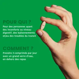 Santarome - Dépur Côlon - Détox et confort digestif - 30 comprimés