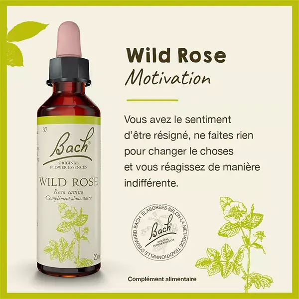 Flores de Bach 37 Wild Rose - Briar Rose 20ml