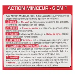 Juvamine Action Minceur 6 Actions Goût Framboise 14 sticks