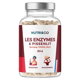 Nutri&Co Enzymes Digestives Digestion Difficile et Intolérance 60 gélules