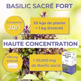 Nutrigée Basilic Sacré Fort 60 comprimés