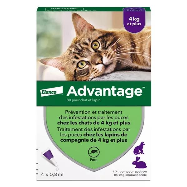 Advantage 80 Solution Antipuce Chat Lapin +4kg 4 pipettes