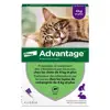 Advantage Solution Antipuce Chat Lapin +4kg 4 pipettes