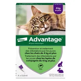 Advantage Solution Antipuce Chat Lapin +4kg 4 pipettes