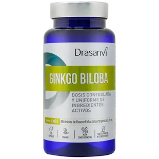Drasanvi Nutrabasics Ginkgo Biloba 30 Capsules
