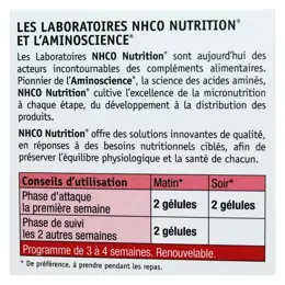 NHCO Artixine 56 gélules