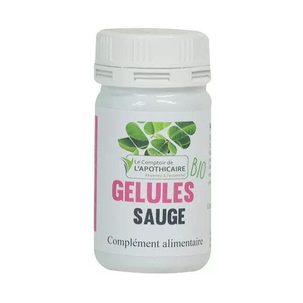 Le Comptoir de l'Apothicaire Salvia Bio 90 Capsule