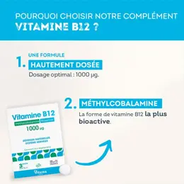 Vitavea Vitamine B12 Méthylcobalamine Défenses Naturelles 90 comprimés