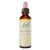 Fleurs de Bach 17 Carpino Bianco 20 ml