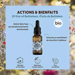 Biofloral Fleur De Bach 29 Star Of Bethlehem Compte Gouttes Bio Demeter 20 ml