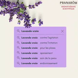 Pranarom Perles d'Huile Essentielle Lavande Vraie Bio 60 unités