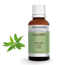 Pranarom Huile Essentielle Laurier Noble 30ml