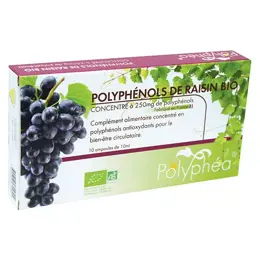 Vit'all+ POLYPHEA POLYPHENOLS DE RAISIN BIO 264mg 10 ampoules